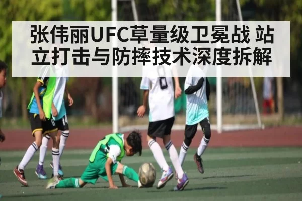 张伟丽UFC草量级卫冕战 站立打击与防摔技术深度拆解 - FengniaoEsports